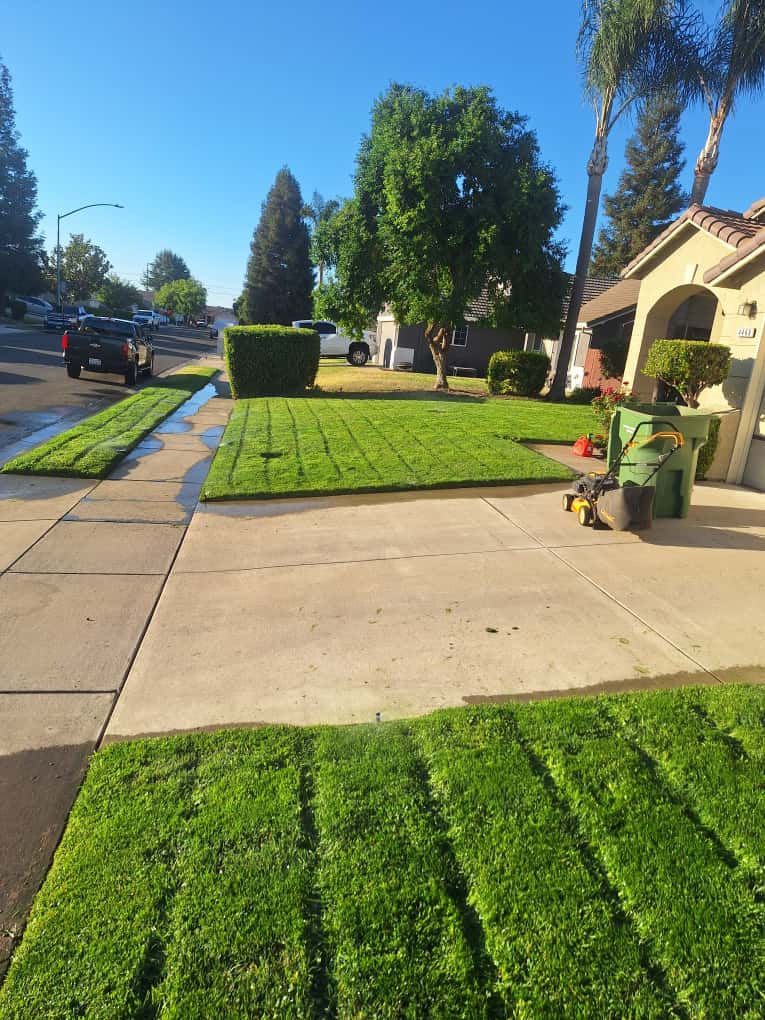 Concrete pathways and flatwork