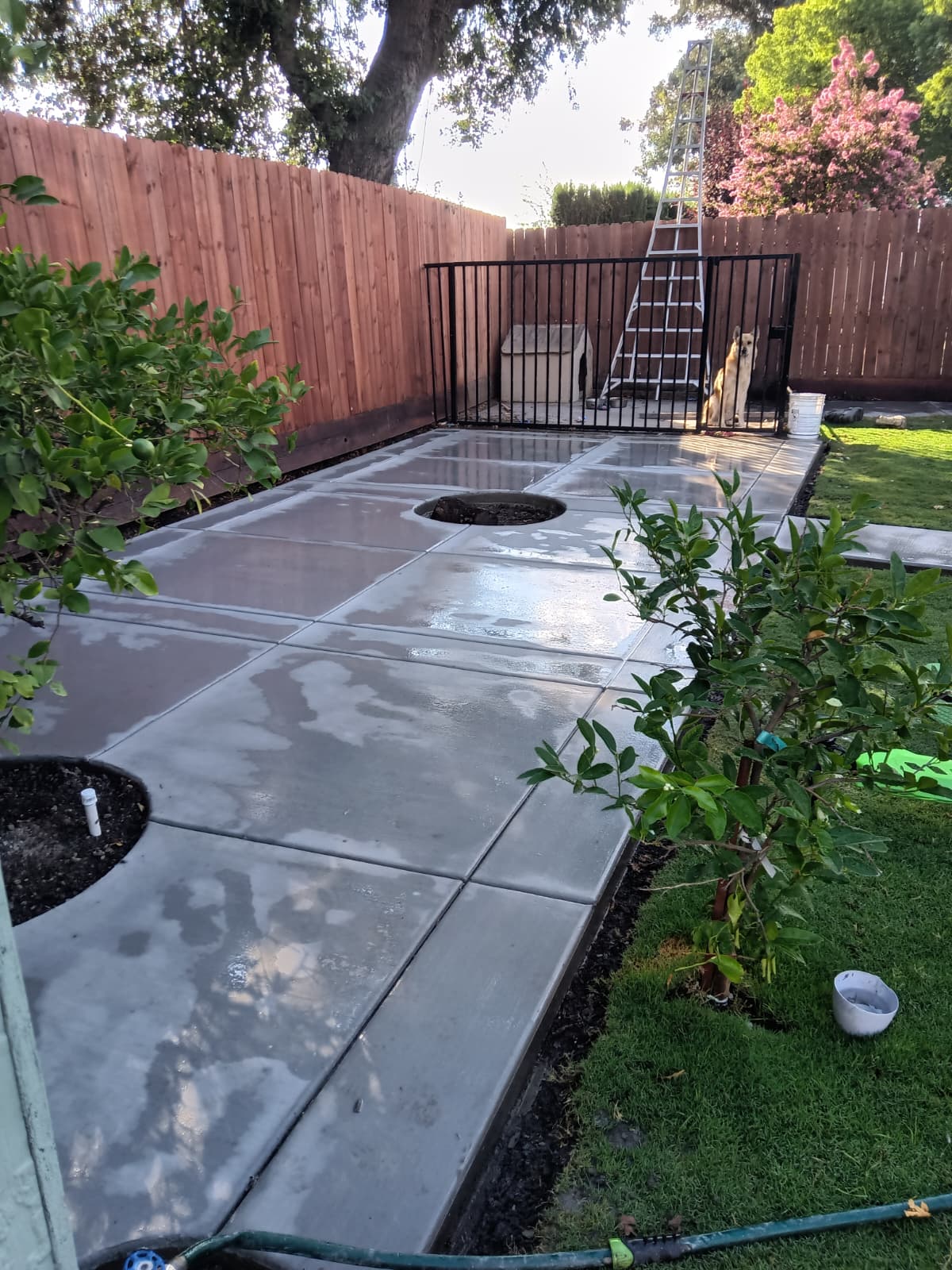 Concrete pathway installation