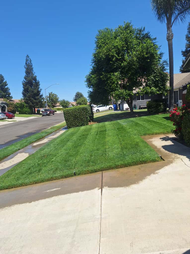 Grass removal and installation in Modesto